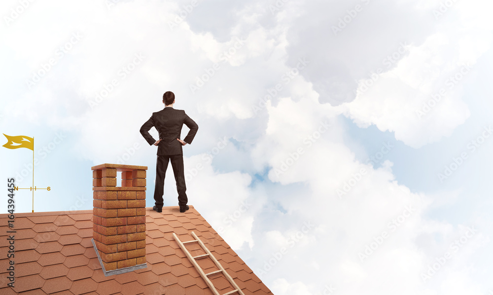 老板先生叉腰站在砖屋顶上。混合媒体