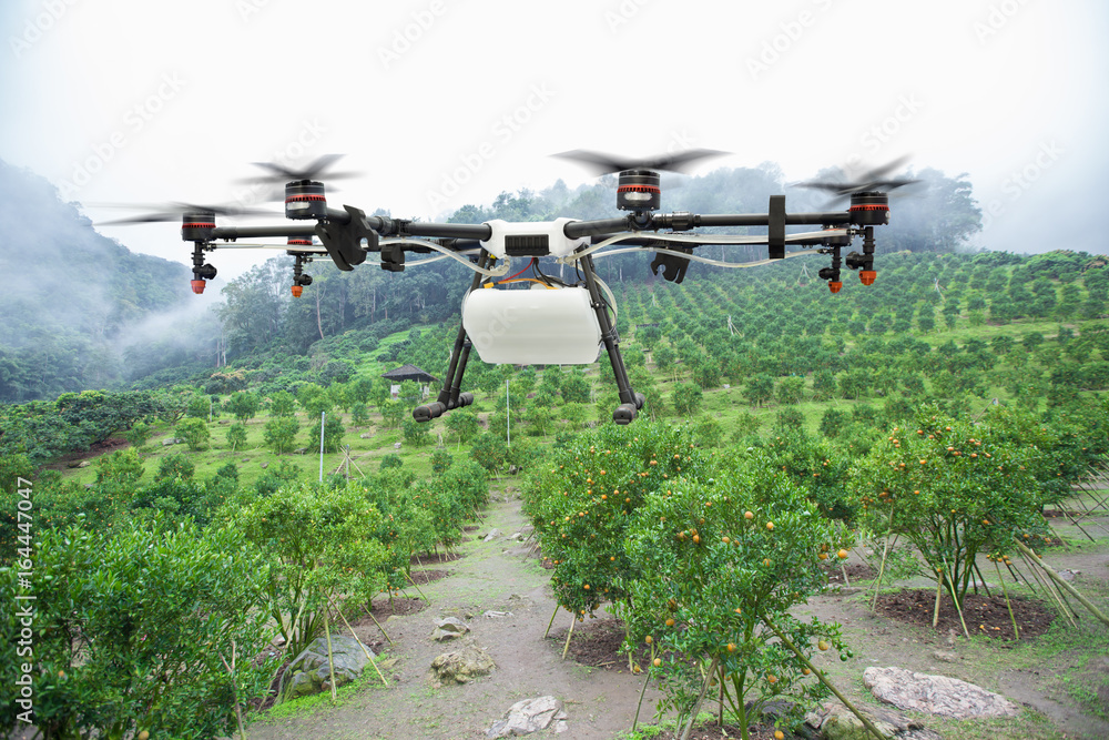 农业无人机在山上的橘园上空飞行