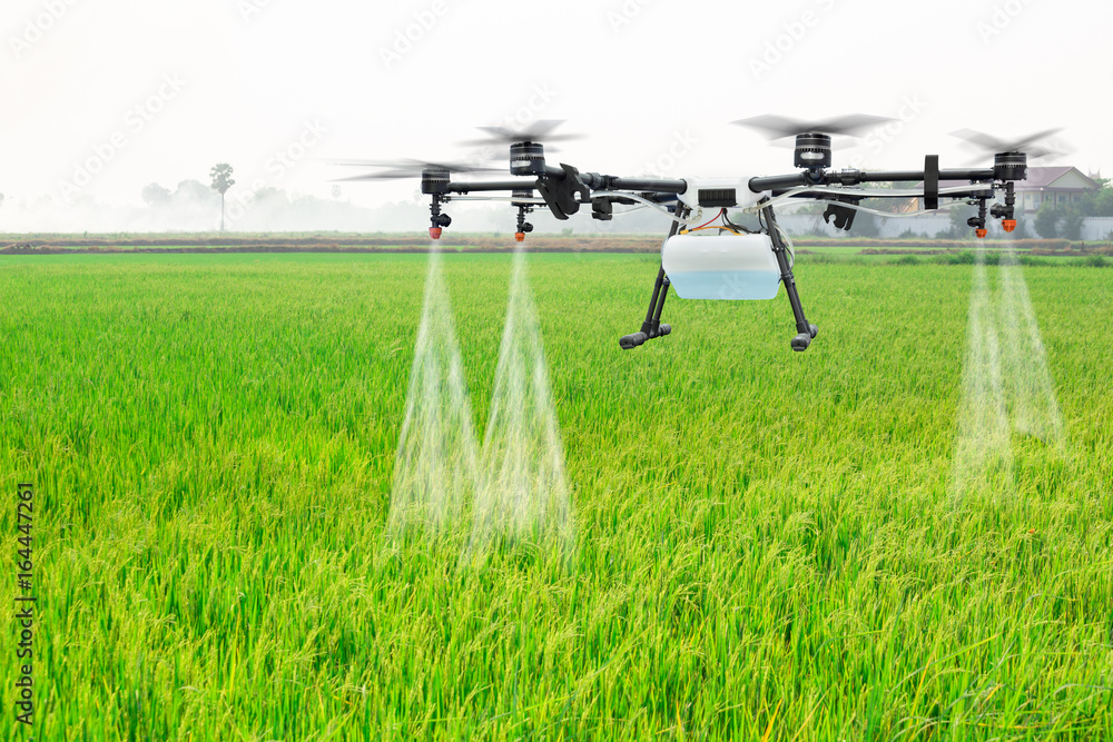 农业无人机飞到稻田施肥
