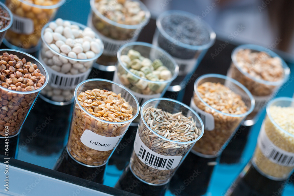 食品质量实验室中的种子和谷物