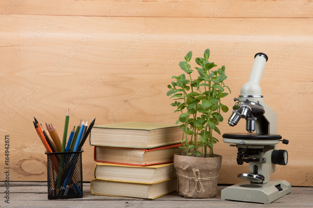 教育理念——礼堂桌子上的书籍和显微镜