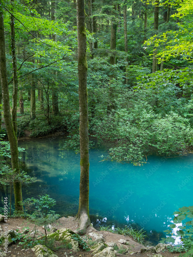 罗马尼亚卡拉斯塞弗林县奥奇乌尔·贝乌鲁伊森林中的美丽池塘