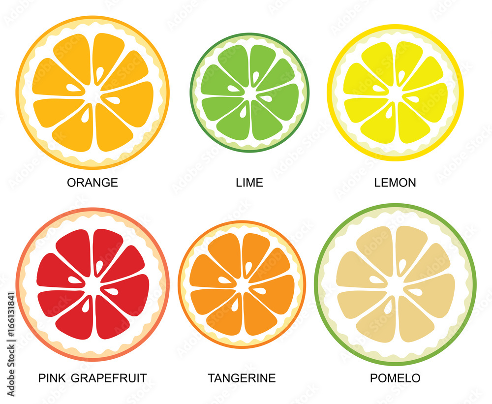 矢量柑橘片。柑橘类水果片（橙子、酸橙、柠檬、葡萄柚、橘子、柚子）o