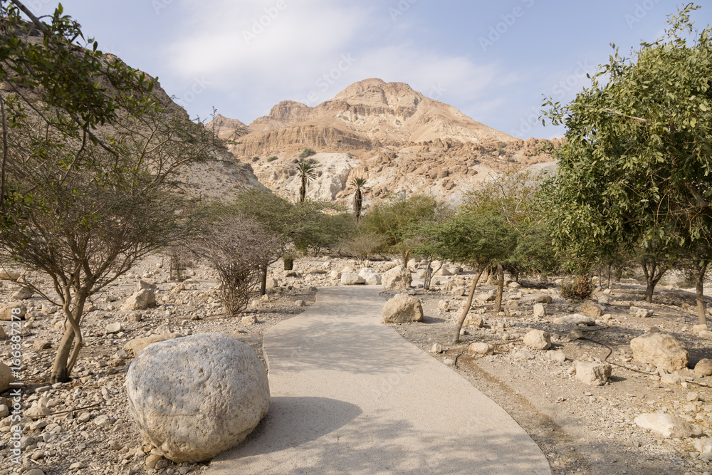 Wadi David，死海，以色列