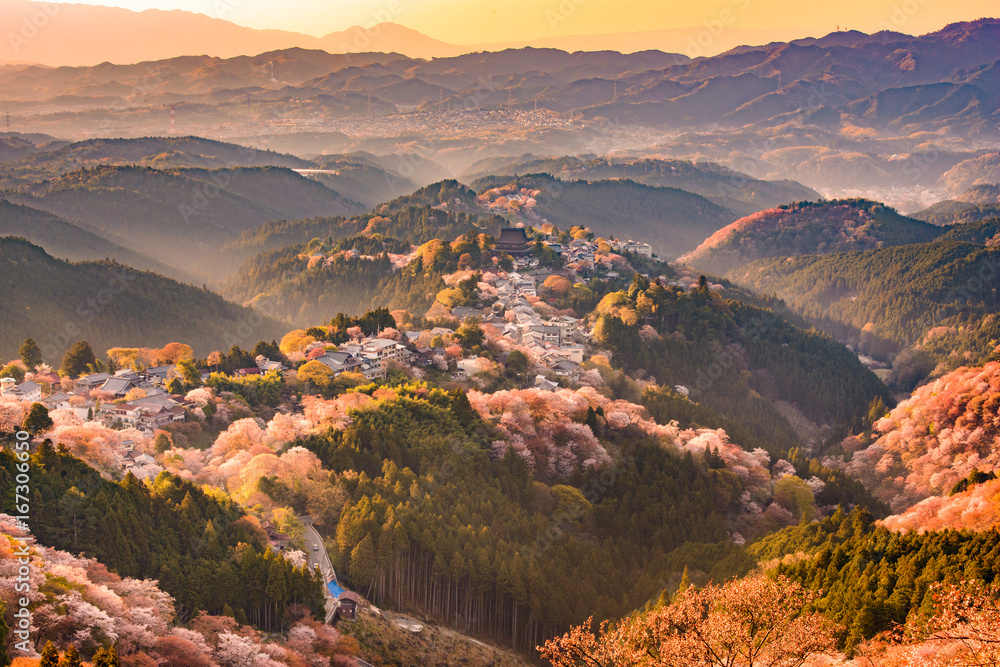 吉野山，春天的日本