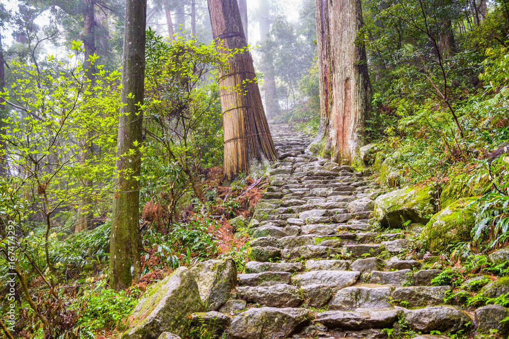 熊野小路，日本和歌山那池的一条神圣的小路。