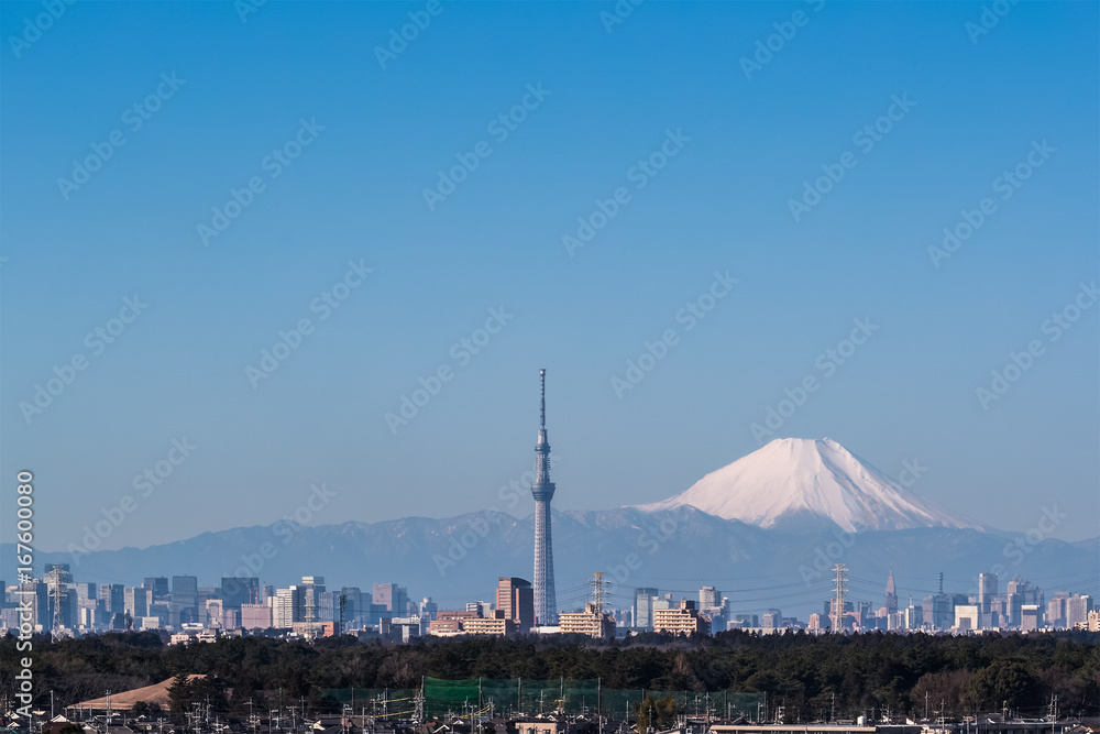 东京城市景观、东京天树和富士山。富士山位于o西南约100公里处