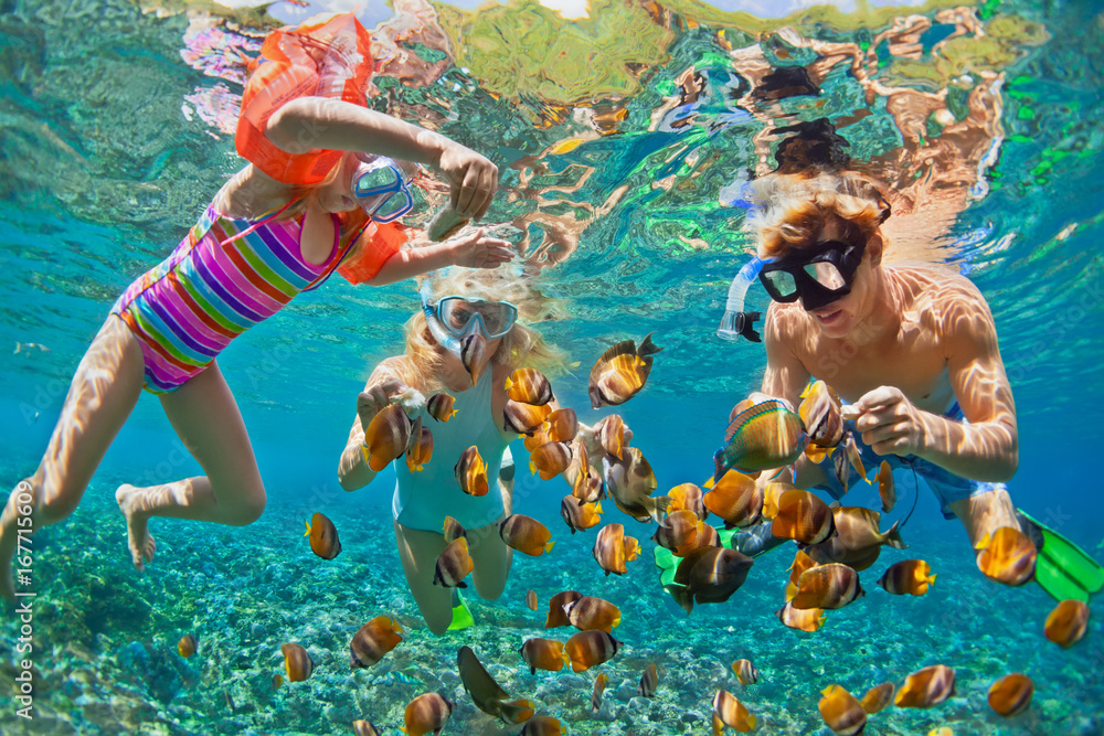 幸福的家庭-父亲、母亲、孩子戴着浮潜面具与热带鱼一起在珊瑚礁潜水