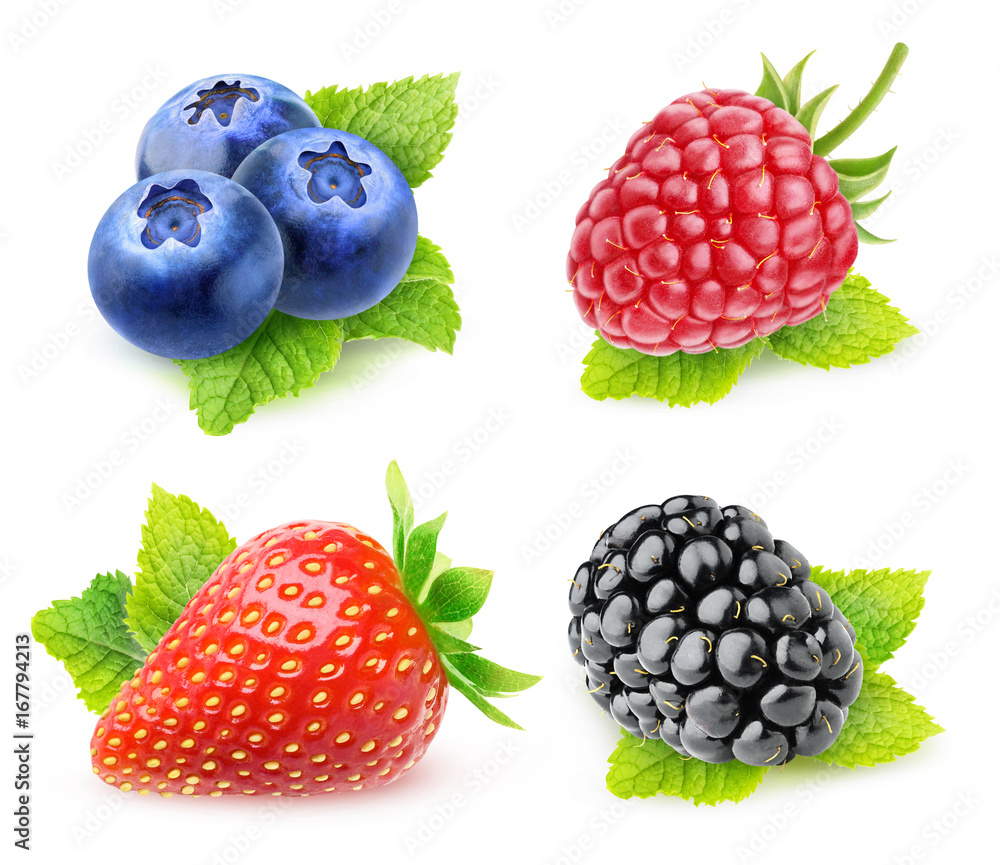 Collection of isolated berries with mint. Blueberries, strawberry, raspberry and blackberry with min