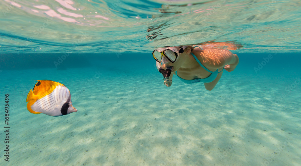 浮潜女子探索美丽的海洋生物，水下摄影。