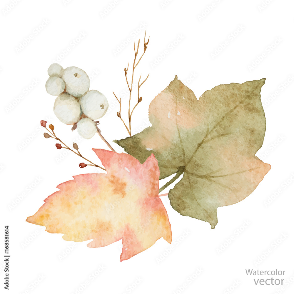 白色背景下分离的叶子和树枝的水彩矢量束。