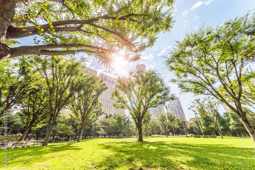 さわやかな朝の新宿中央公園