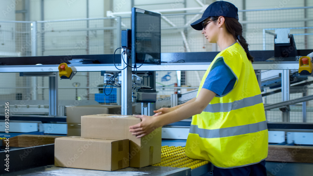 Postal Sorting Office Workers Put Cardboard Boxes on Belt Conveyor