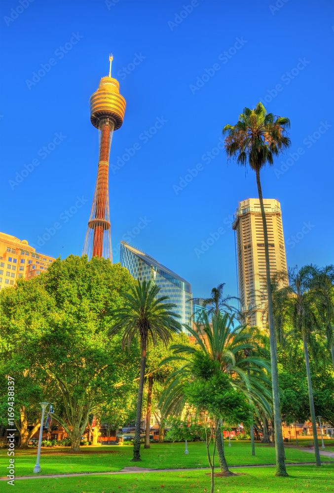 澳大利亚悉尼以现代建筑为背景的海德公园