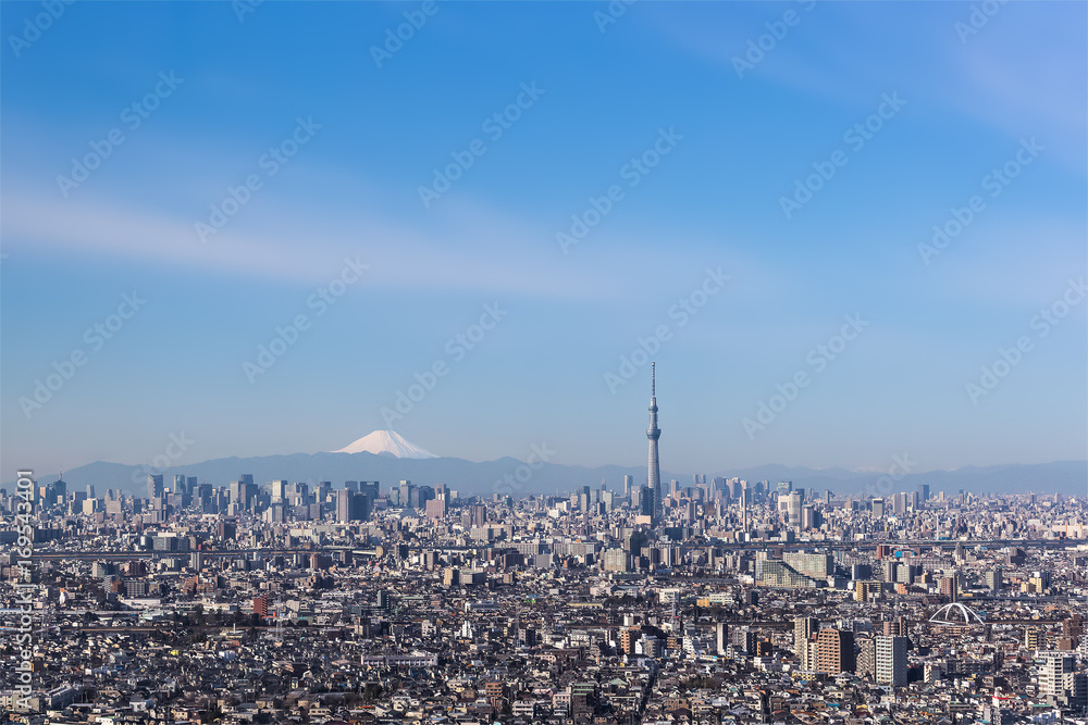 东京城市景观，东京天空树，背景是东京市中心建筑和冬山富士
