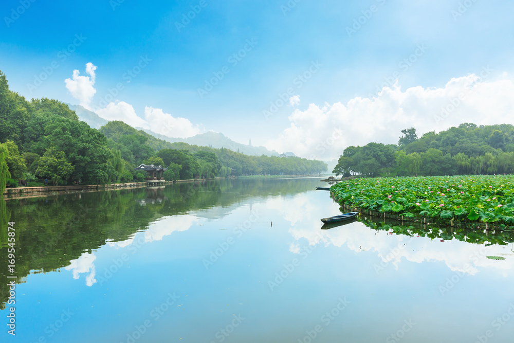 中国杭州西湖荷花盛开的自然景观