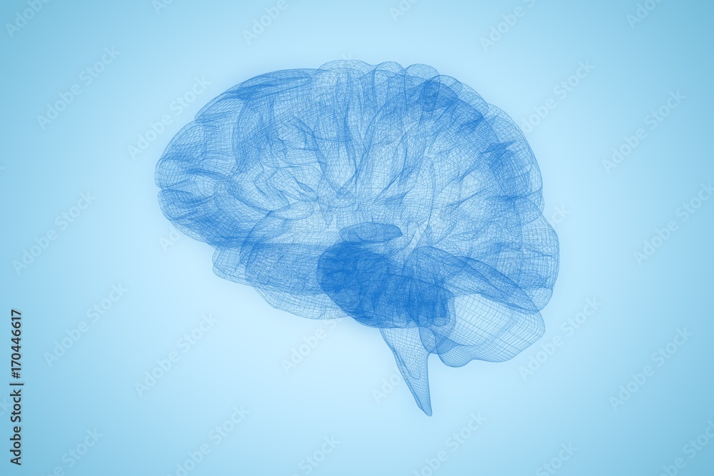 人脑三维图像的合成图像
