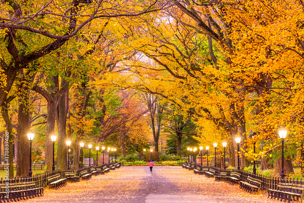 中央公园秋季