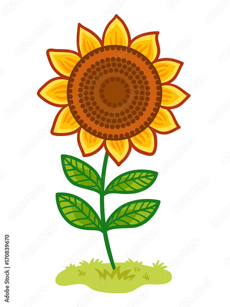 向日葵在空地上。黄色花朵的矢量图。