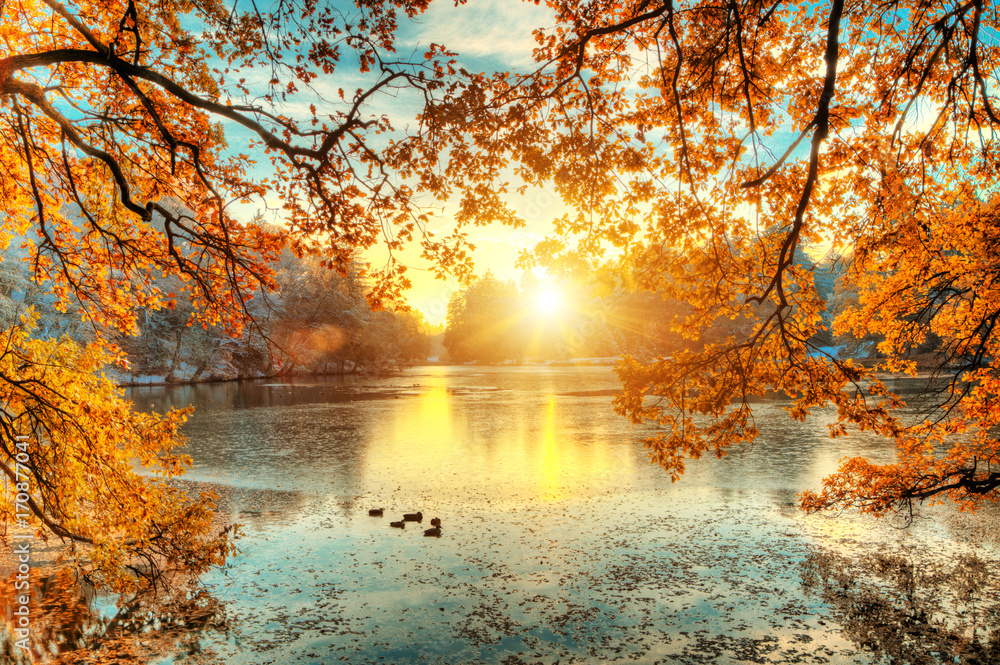 美丽的彩色树木，秋天有湖，风景摄影
