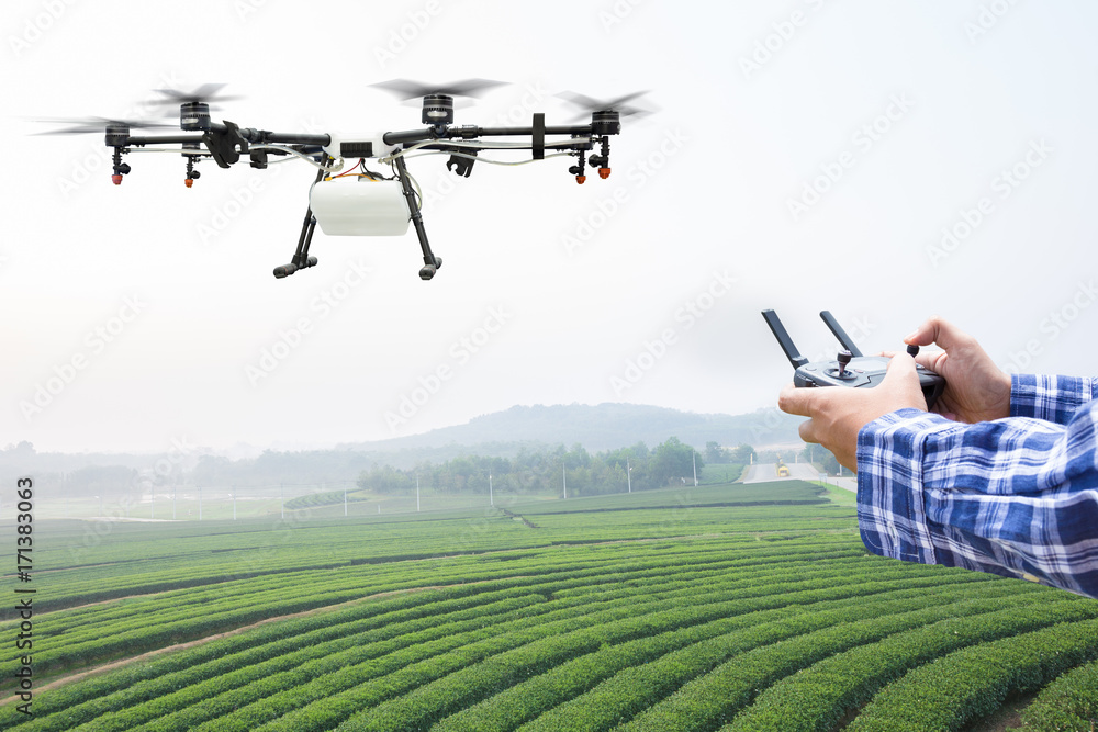 农民控制农业无人机飞到绿茶地施肥