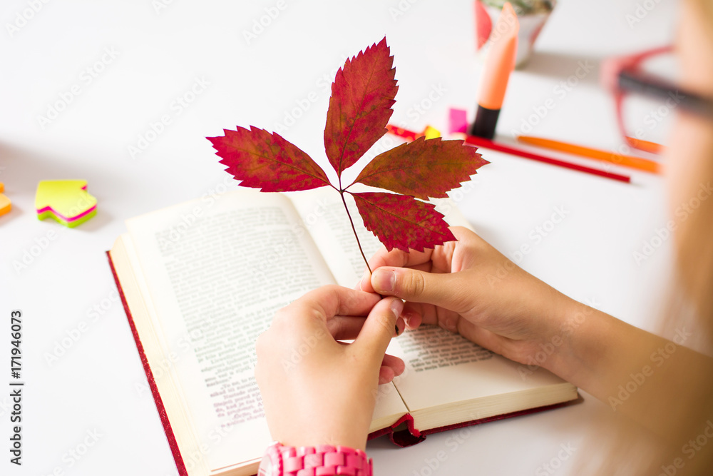 女孩用秋叶做书签