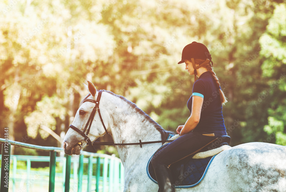 Young woman riding a horse, jockey in sport wear