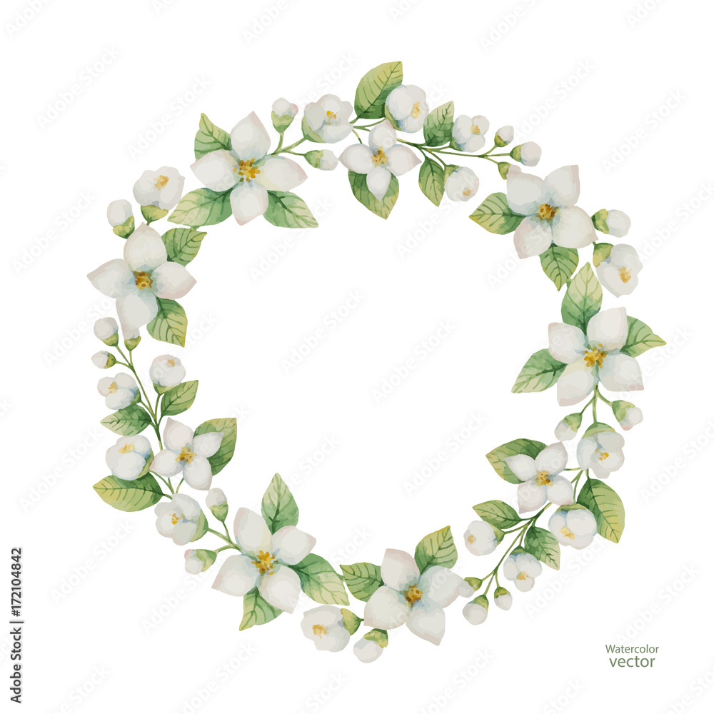 白色背景上隔离的花朵和树枝茉莉的水彩矢量框架。