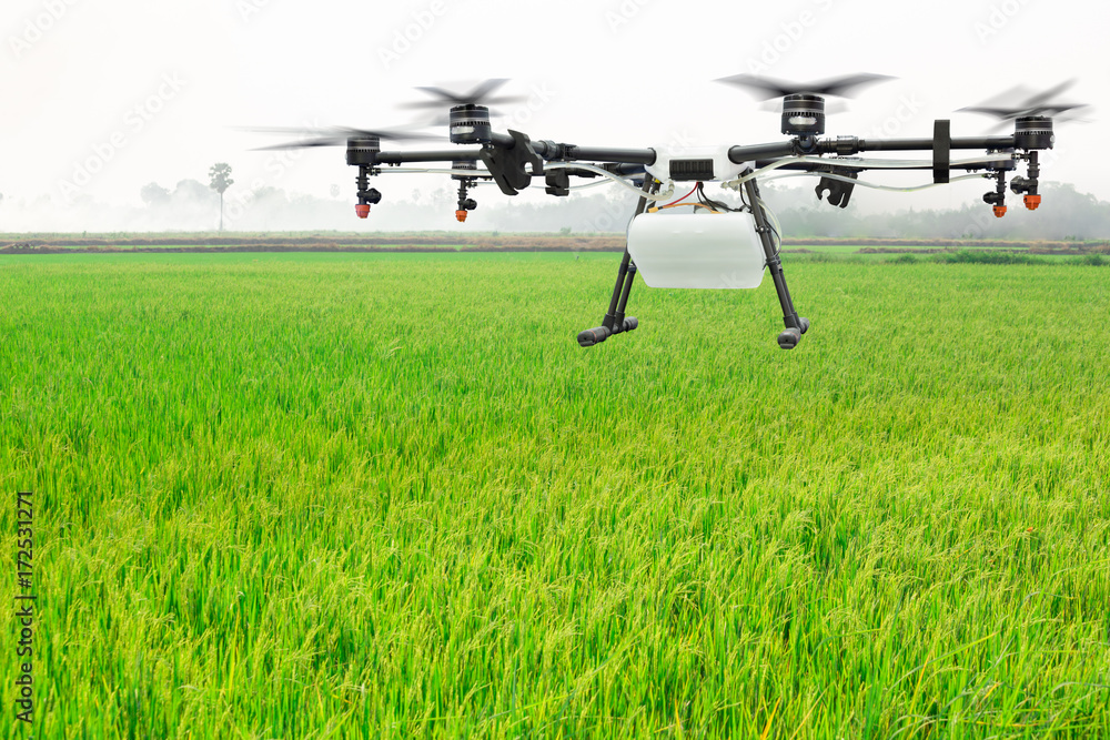 Agriculture drone flying on the green rice field