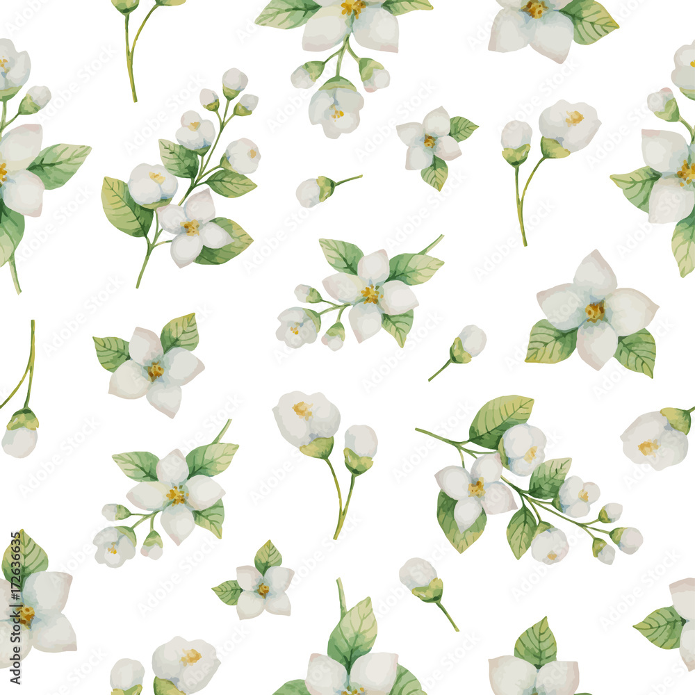 白色背景上隔离的花朵和树枝的水彩矢量无缝图案茉莉花。