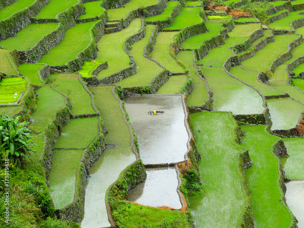 Vue aérienne de rizières en terrasse de Banaue avec cultivateur - Philippines 