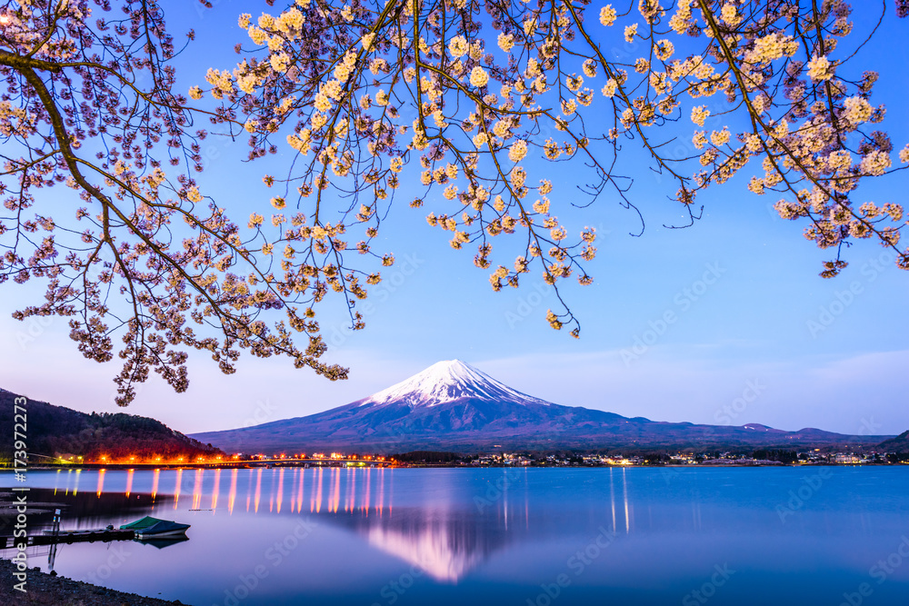 春天的日本富士山在河口湖。