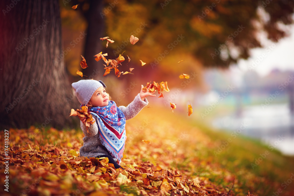 可爱的快乐女孩，把落叶扔起来，在秋天的公园里玩耍
