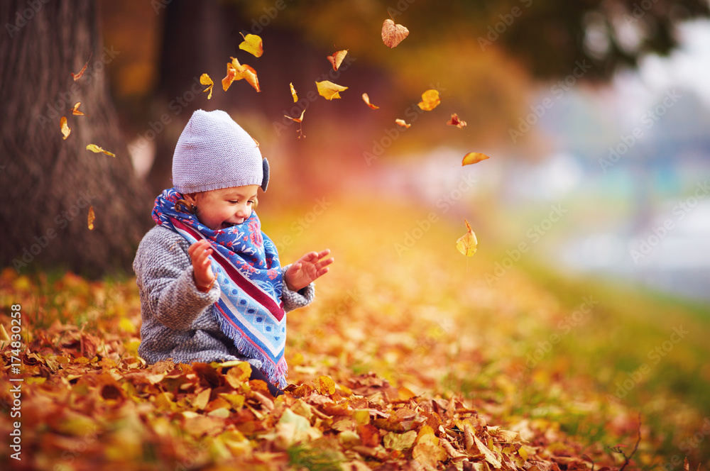 可爱快乐的小女孩把落叶扔起来，在秋天的公园里玩耍