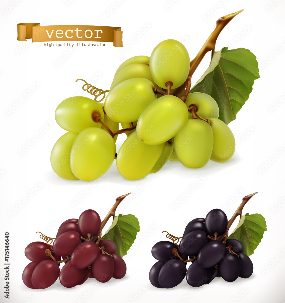 红白餐桌葡萄，酿酒葡萄。新鲜水果，三维矢量图标集
