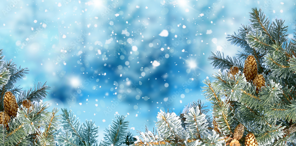 冬季圣诞背景配杉木树枝圣诞快乐，新年快乐贺卡wi