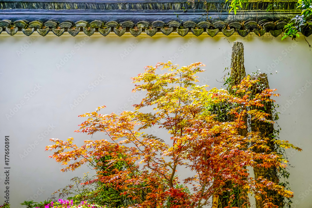 中国古典园林建筑景观