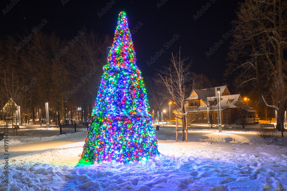 波兰扎科帕内公园里美丽的圣诞树