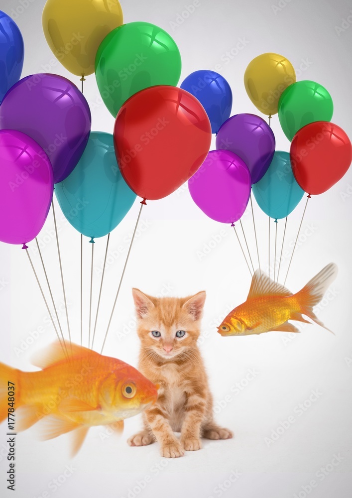 小猫在看绑在气球上的鱼