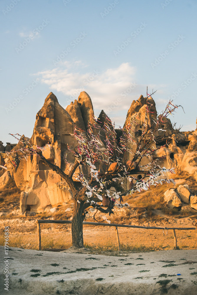 Natural volcanic rocks with ancient cave houses and tree with wishes in Goreme Open Air museum in Ca