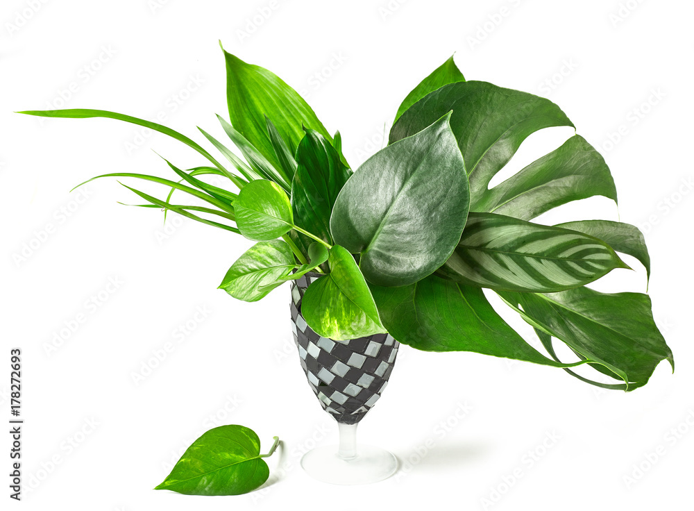 bouquet of tropical leaves