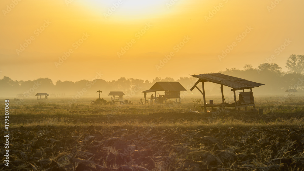 亚洲稻田和农民小屋，冬天如日出，在泰国耕种。