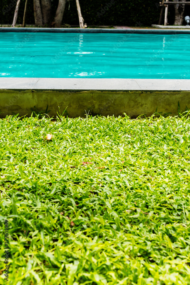 夏天游泳池旁边的绿草草坪阳光明媚，说放松