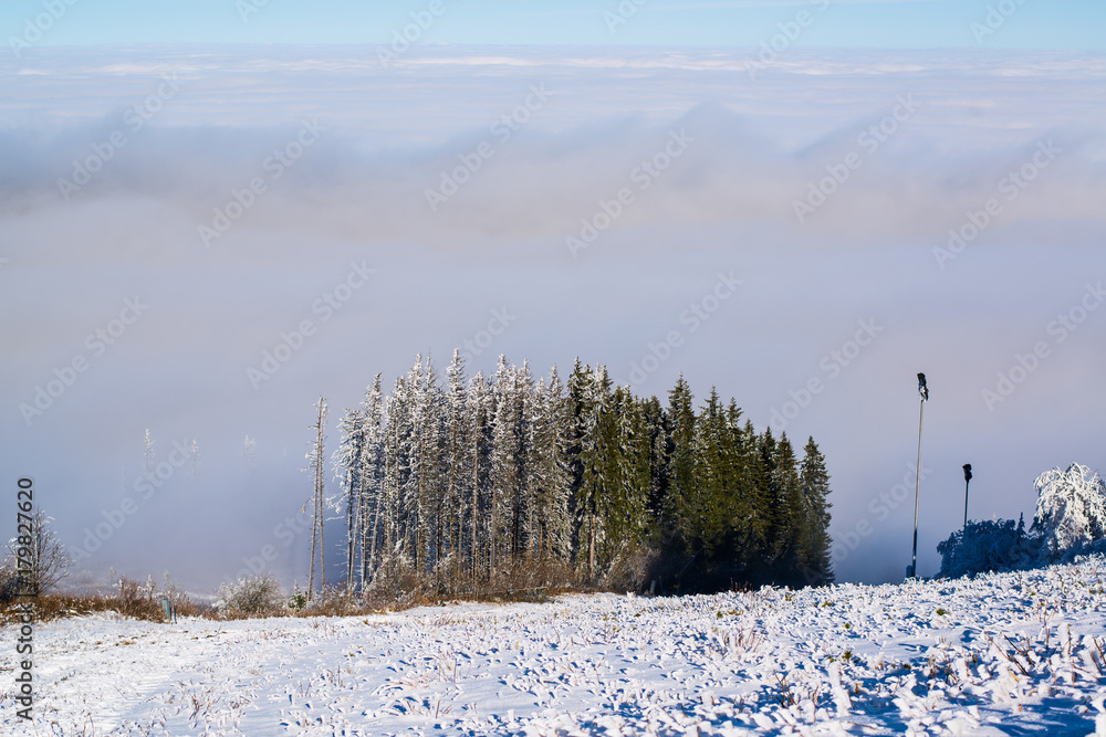 美丽的景色，冬季山上有云杉和雾，天空晴朗。索菲亚的维托沙山，