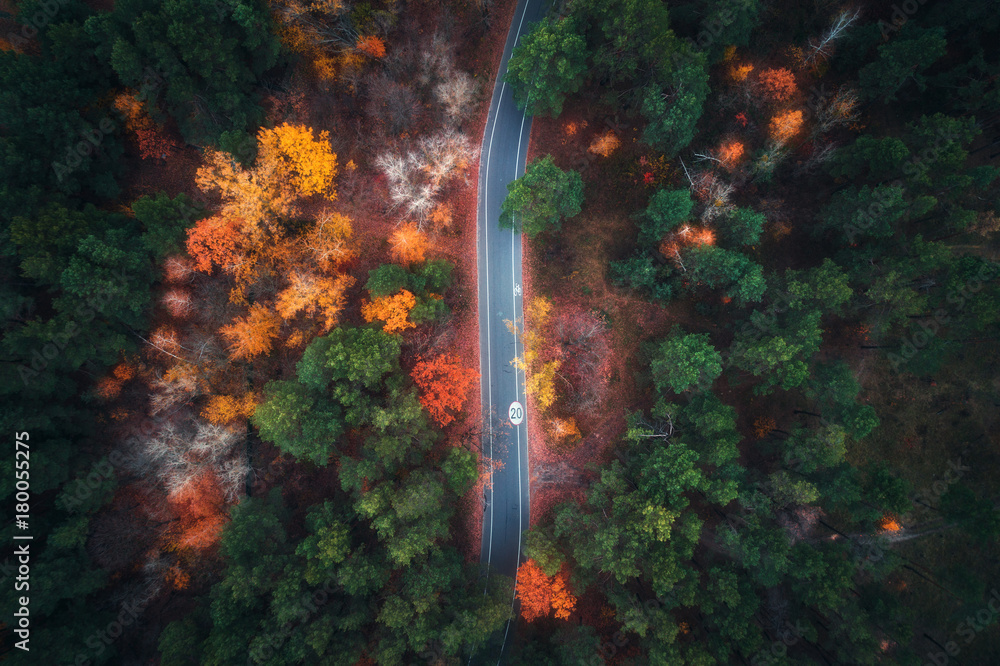 美丽的秋林中的道路鸟瞰图。空旷的乡村道路、树木和令人惊叹的景观