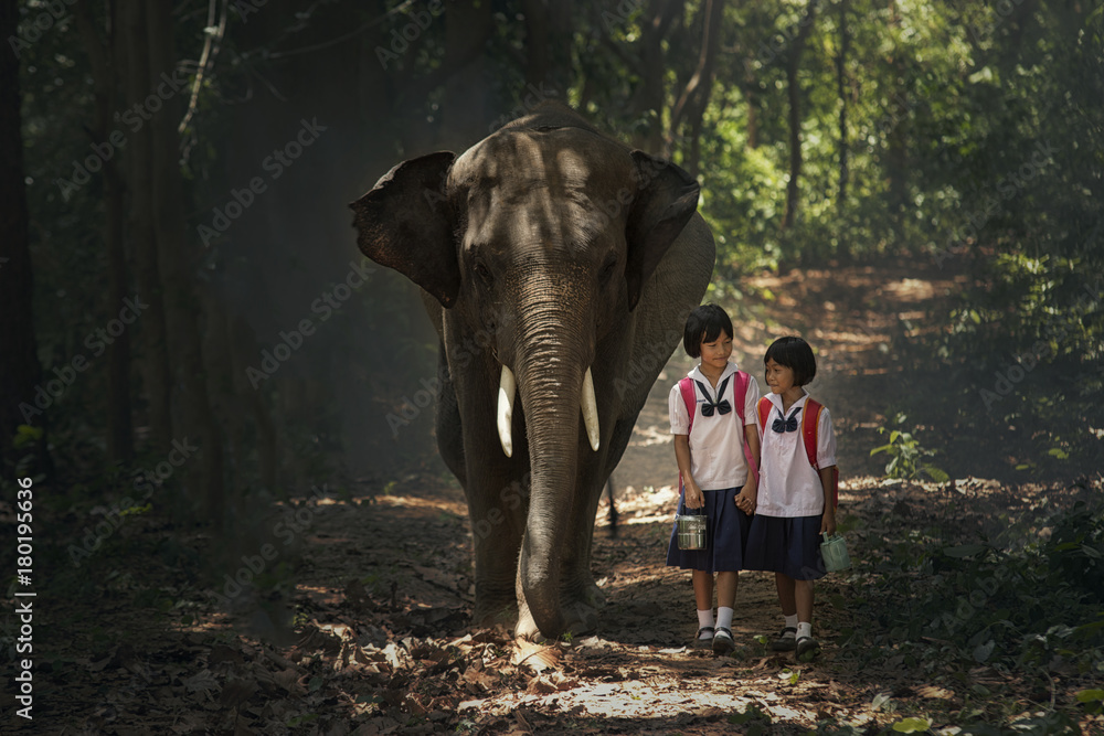 Student and elephants come back to home at elephant village.