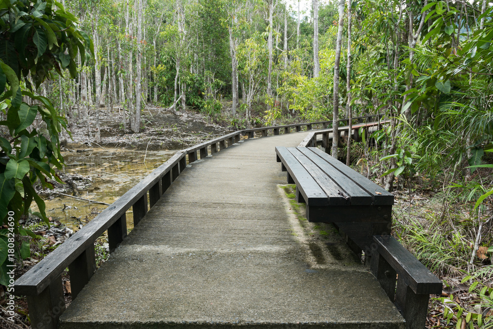 美丽森林中的小水泥桥通道。