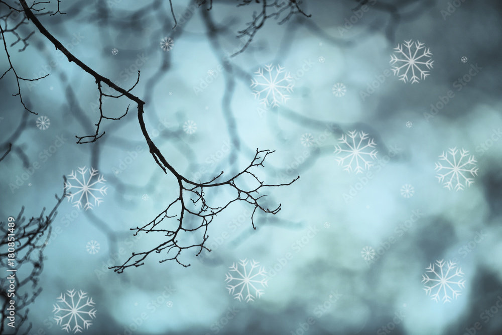 美丽的树枝没有叶子，添加了艺术雪花。抽象的降雪背景。