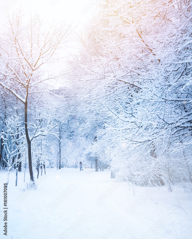 冬天公园里美丽的小巷，树上覆盖着雪和白霜。远处的女孩w