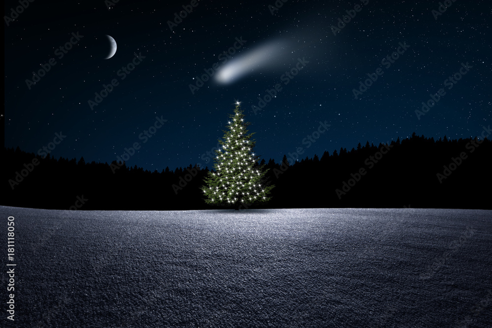 Weihnachtsbaum im Wald bei Nacht